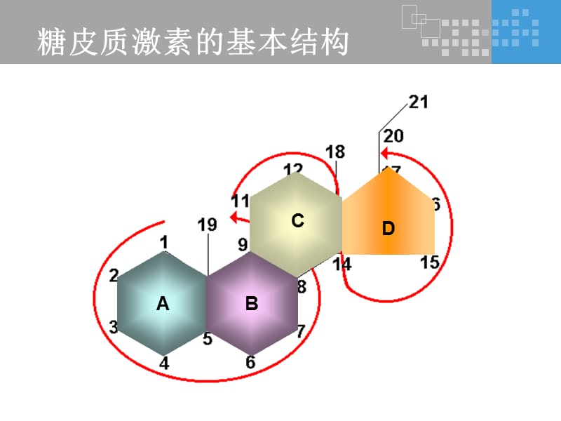 氟轻松是如何发挥其药理作用的？